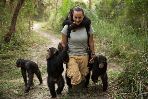 Beautiful Photos Of Orphaned Baby Chimps At The Chimpanzee Conservation