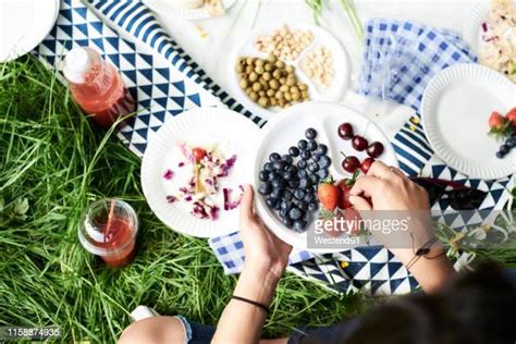 Picnic Food Grass Photos And Premium High Res Pictures Getty Images