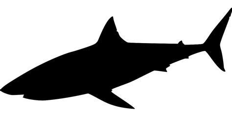 Svg Animal Shark Free Svg Image And Icon Svg Silh
