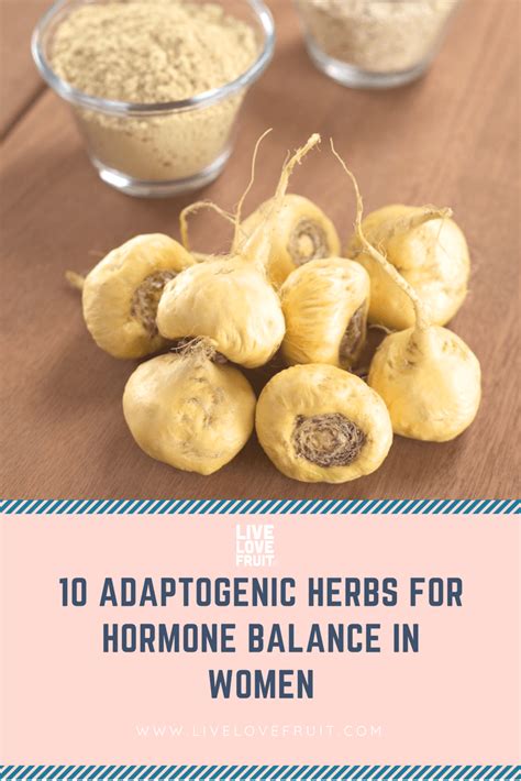 10 Adaptogenic Herbs For Hormone Balance In Women Live Love Fruit