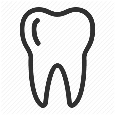 Download High Quality Tooth Clipart Vector Transparent Png Images Art