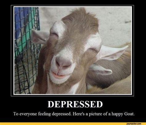 Funny Quotes For Depressed People Quotesgram