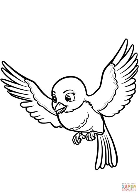 Eastern Bluebird Drawing At Getdrawings Free Download