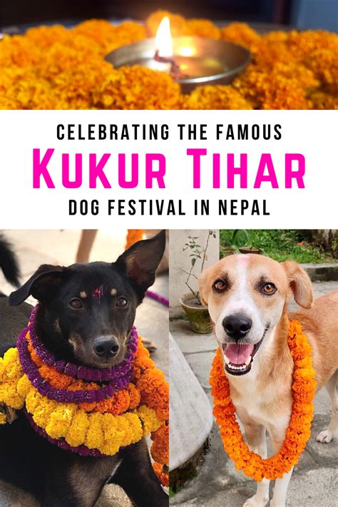 Two Nepali Dogs Wear Marigold Garlands Around Their Necks To Celebrate