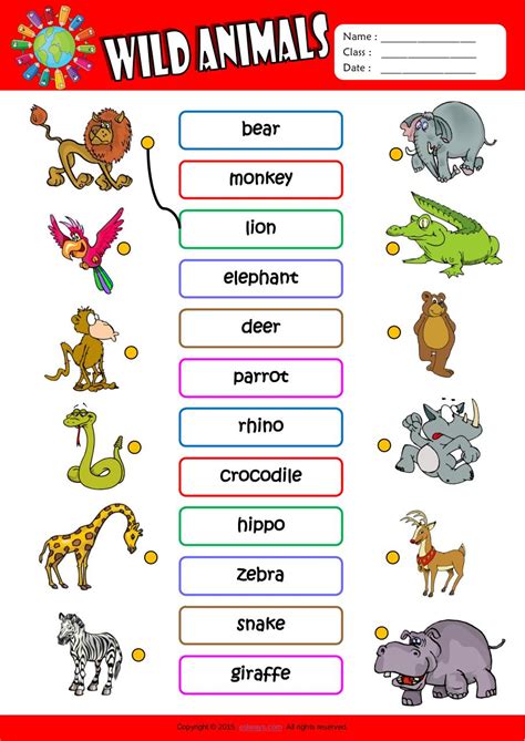 Wild Animals Matching Exercise Worksheet Par Mem Fichier Pdf