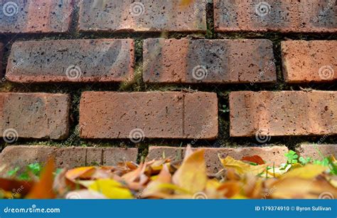 Old Red Face Brick Wall With Vintage Look Stock Photo Image Of Face