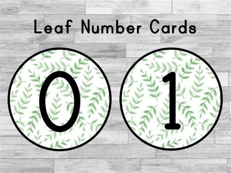 Number Circles 1 20 Leaf Pattern Teaching Resources