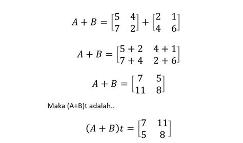 Transpose Matriks Konsep Contoh Soal Dan Pembahasan