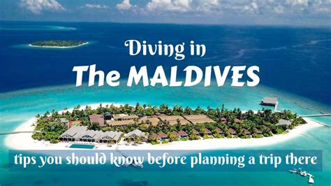 Diving In The Maldives Tips You Should Know Before Planning A Trip There