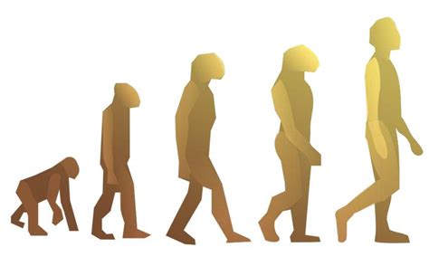 Evolution Disregard Survival Of The Fittest Atheist Faq Blog