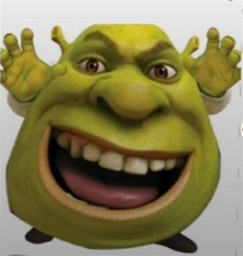 Pin By Обдолбаный питух On Переговоры Shrek Funny Shrek Really
