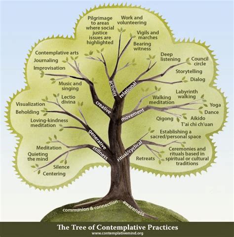 The Tree Of Contemplative Practices Contemplative Mind 2013