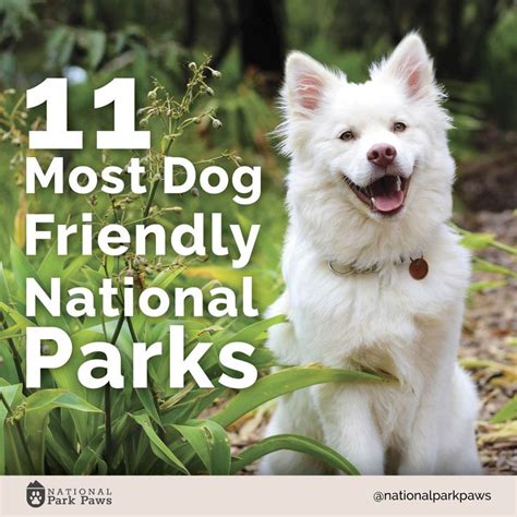 A seasonal outdoor pool, free self parking, and barbecue grills are featured at this motel. 11 Dog Friendly National Parks | Dog friends, National ...