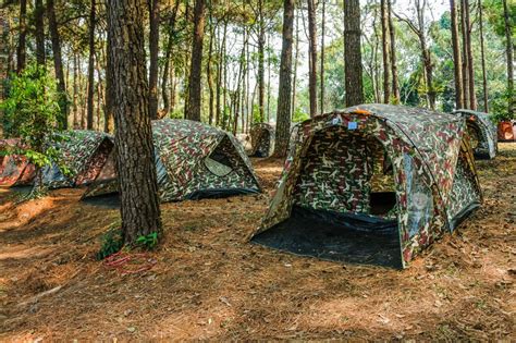 Gambar Tenda Berkemah Pohon Daerah Berhutan Utara Pariwisata