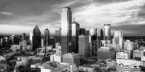 Dallas Skyline At Sunset Texas Black And White Panorama Photograph By