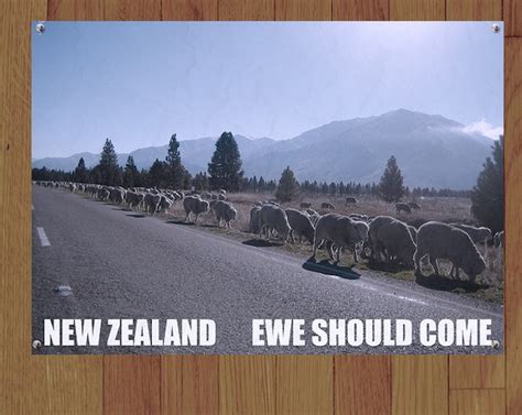 Anorak News All Of Murrays New Zealand Tourism Posters From Flight