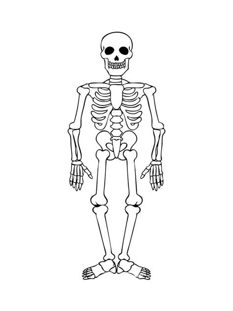 Skeleton Head Coloring Page