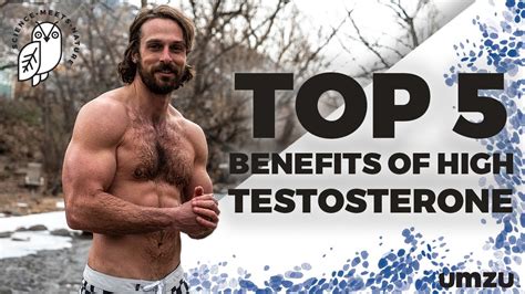 top 5 benefits of high testosterone levels in men youtube