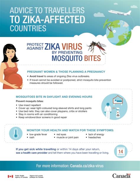 What You Need To Know About Zika Virus If You Are Or May Become