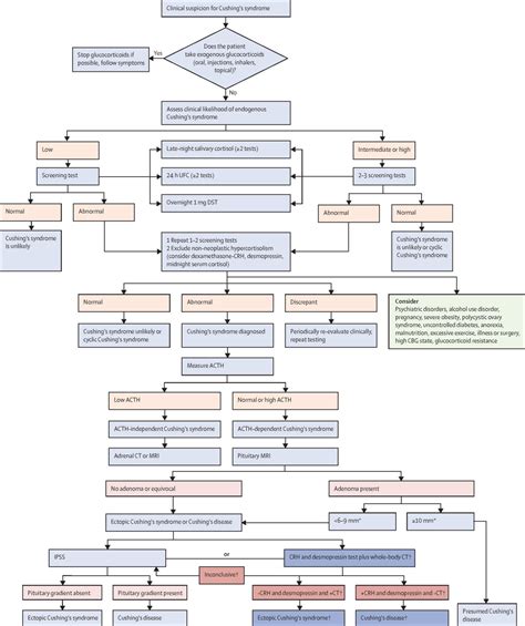 consensus on diagnosis and management of cushing s disease a guideline update the lancet