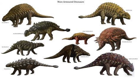 A thagomizer is the distinctive arrangement of four spikes on the tails of stegosaurine dinosaurs. warfare - Would genetically modified dinosaurs be useful ...