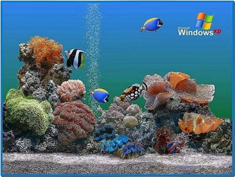 Xp Plus Aquarium Screensaver Download Screensaversbiz