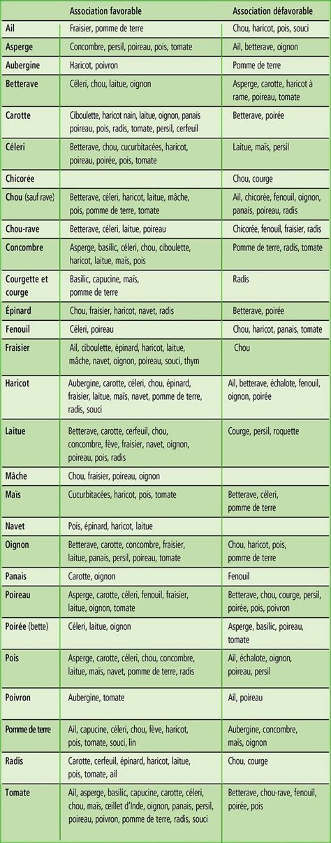 Les bonnes associations de légumes au potager et celles qu'il faut