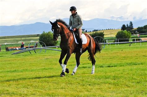The Event At Rebecca Farm Championship Eventing In Montana The