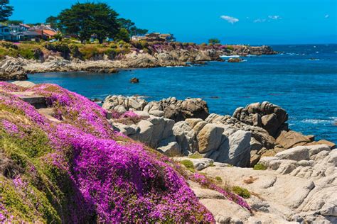 Pacific Grove Photo Of The Week May 30 June 2 Pacific Grove Photos