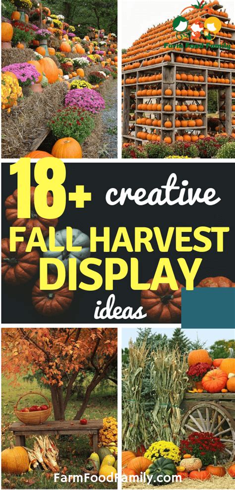 18 Creative Fall Harvest Display Ideas And Designs For 2021 Pumpkin