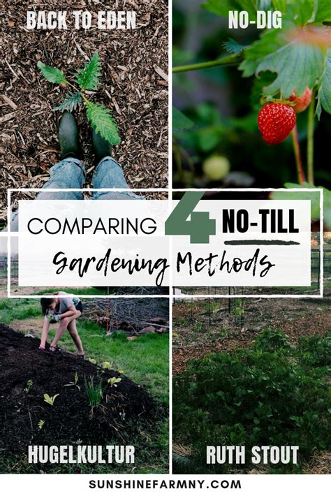 Comparing No Till Gardening Methods Back To Eden Ruth Stout No Dig