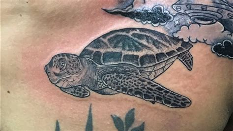 Polynesian Turtle Shoulder Tattoo Shane Tattoos
