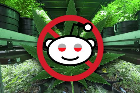 I will also include a post at the end which will include all of. The Reddit Support Group for People Who Quit Smoking Weed