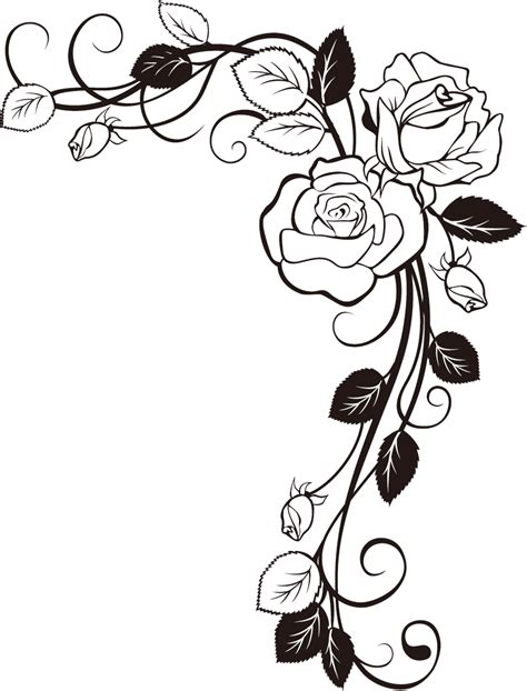 Weinrebe Zeichnung Rose Zeichnung Rosenzeichnung