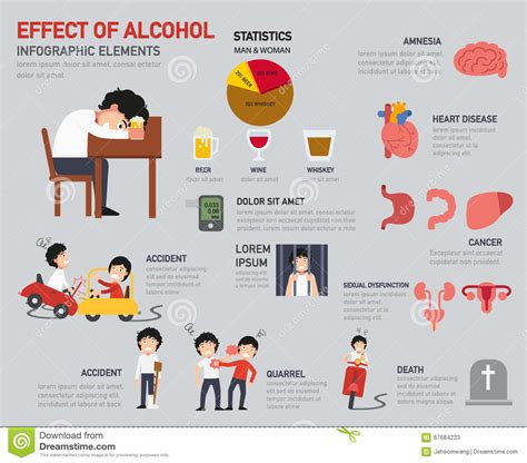 Effect Of Alcohol Infographics Stock Vector Image 67684233