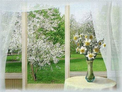 Spring Time Window Flowers Vase Spring Trees Field Hd Wallpaper