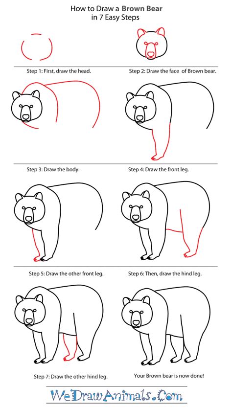 Preview of the step by step monkey face tutorial. How to Draw a Brown Bear