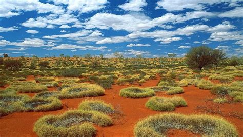 In Australias Outback Pew Works To Protect Land And A Way Of Life