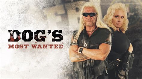 Dogs Most Wanted Sevenone Studios
