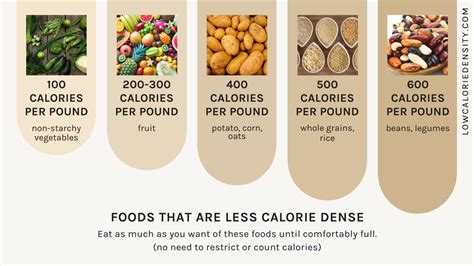 How To Start A Low Calorie Density Diet An Easy Guide