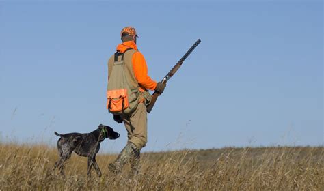 Tips For Staying Safe While Hunting