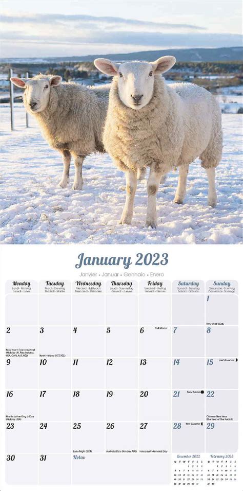 Sheep Calendar Animal Calendars Pet Prints Inc