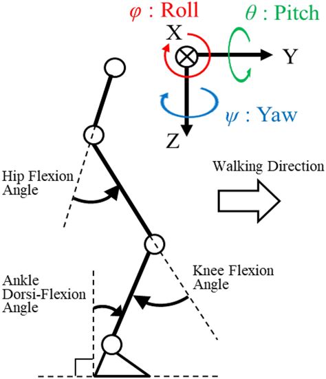 Definition Of The Lower Limb Joint Angles And The Reference Coordinate