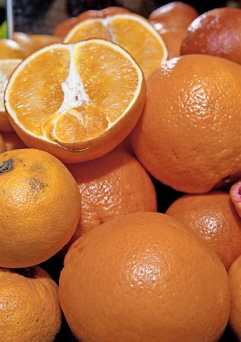 Orangen Sind Knapp Und Werden Teuer Wirtschaft Badische Zeitung