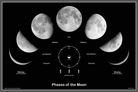 Fases De La Luna ~ Con Ciencia