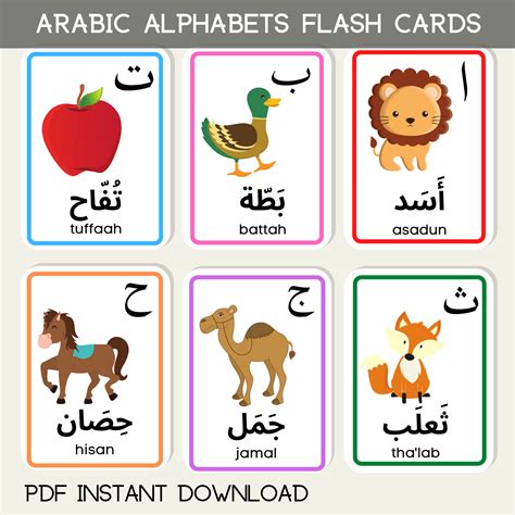 Arabic Alphabet Educational Flash Cards Learning Islamic Quran Etsy Australia