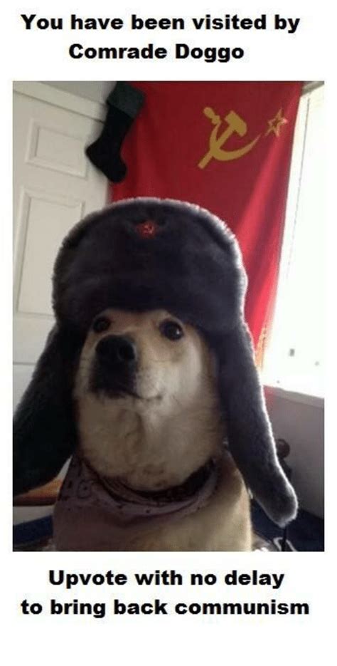25 Best Memes About Comrade Doggo Comrade Doggo Memes