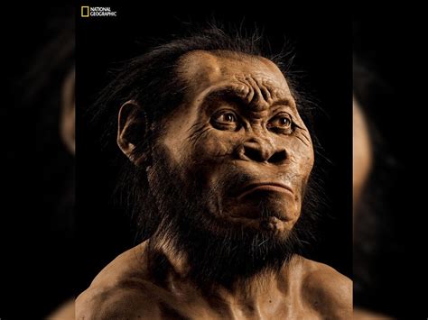 South Africas New Human Ancestor Sparks Racial Row