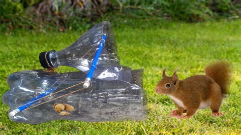 How To Make Squirrel Trap With Plastice Bottle Trap Using Plastice