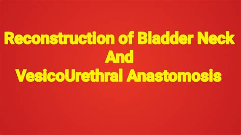 Reconstruction Of Bladder Neck Vesicourethral Anastomosis Step By Step Procedure Urology